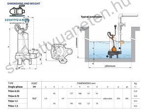 Pedrollo Tritus Inox TIGm 1,1